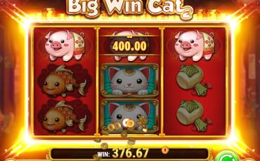 Big Win Cat pokie NZ