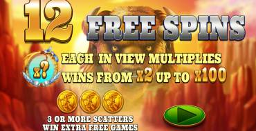 Bison Bonanza: Freespins and/or respins