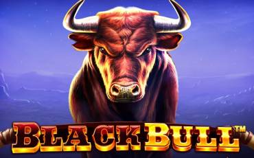 Black Bull pokie NZ