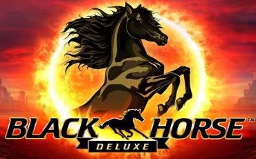 Black Horse Deluxe pokie NZ