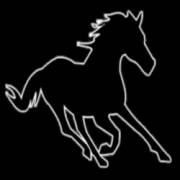 Black Horse: Horse