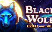 Black Wolf logo