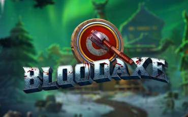 Bloodaxe pokie NZ