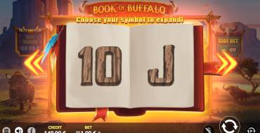 Book of Buffalo: Unique features