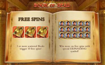 Book of Dead pokie NZ