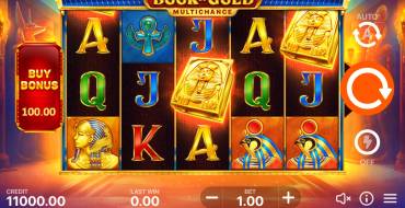 Book of Gold Multichance: Slot machine