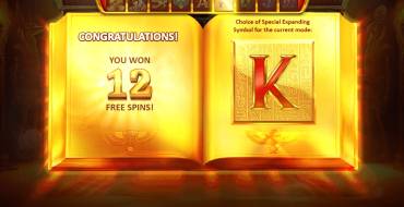 Book of Gold Multichance: Free spins