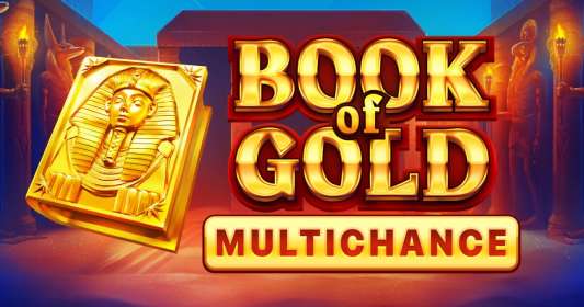 Book of Gold Multichance by Playson NZ