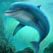 Book of Poseidon: Dolphin