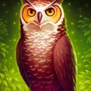 Book of Wizard: Crystal Chance: Owl