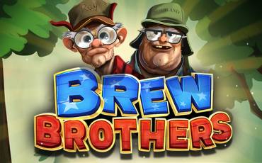 Brew Brothers pokie NZ