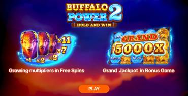 Buffalo Power 2: Hold and Win: Unique features