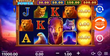 Buffalo Power: Hold and Win: Slot machine