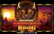 Buffalo Rising Megaways All Action logo