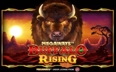 Buffalo Rising Megaways All Action pokie NZ