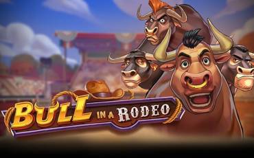 Bull in a Rodeo pokie NZ