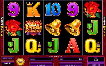 Burning Desire pokie NZ