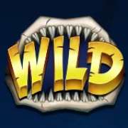 Wild symbol in Mega Don pokie