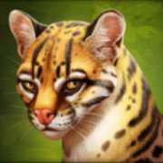 Jaguar symbol in Panther's Reign pokie