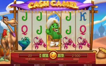 Cash Camel pokie NZ