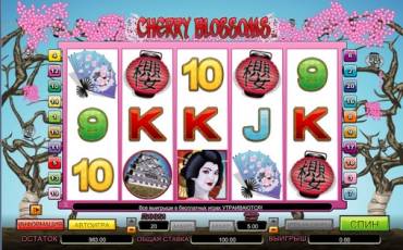 Cherry Blossoms pokie NZ