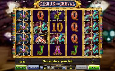 Cirque du Cheval pokie NZ