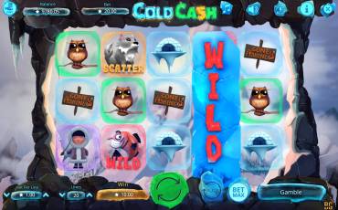 Cold Cash pokie NZ