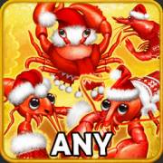 Crabbin' For Christmas: Crayfish