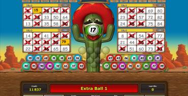 Crazy Cactus Bingo: Cards