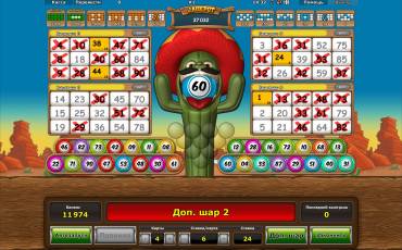 Crazy Cactus Bingo pokie NZ