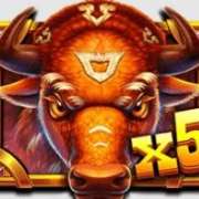 Wild X5 symbol in Wild Bison Charge pokie