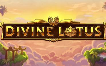 Divine Lotus pokie NZ