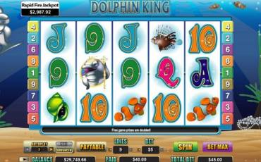 Dolphin King pokie NZ