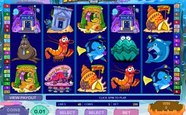 Dolphin Tale pokie NZ