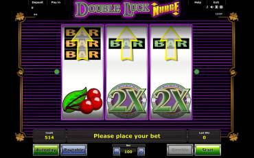 Double Luck Nudge pokie NZ