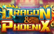 Dragon vs Phoenix logo