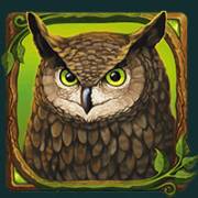 Druids’ Dream: Owl