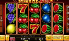 Play Dynamite Wild