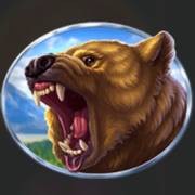 Eagle Storm: Bear