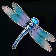 Dragonfly symbol in Big Bass Bonanza pokie