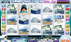 Play Eskimo’s Wild Life