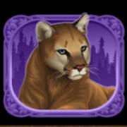 Exotic Cats: Cougar