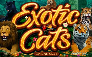 Exotic Cats pokie NZ