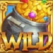 Wild symbol in Lucky McGee and the Rainbow Treasures pokie