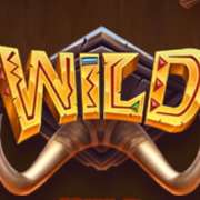 Wild symbol in Safari of Wealth pokie