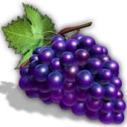Grapes symbol in 40 Mega Clover Clover Chance pokie