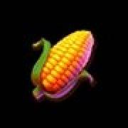 Festa Junina: Corn