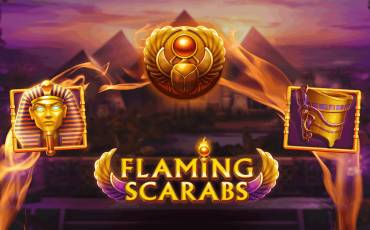 Flaming Scarabs