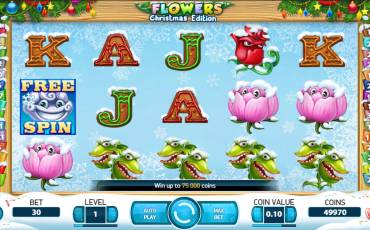 Flowers: Christmas Edition pokie NZ