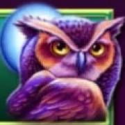 Forest Guardian: Owl